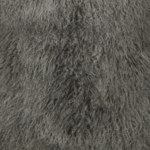 Tibetan Gray Tip