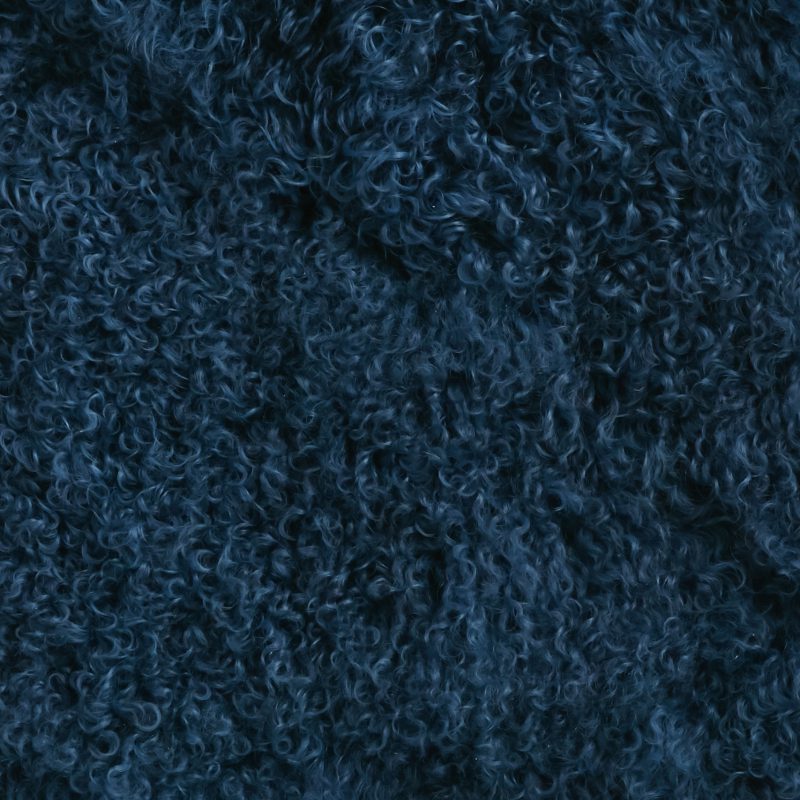 Photo of Tibetan Indigo