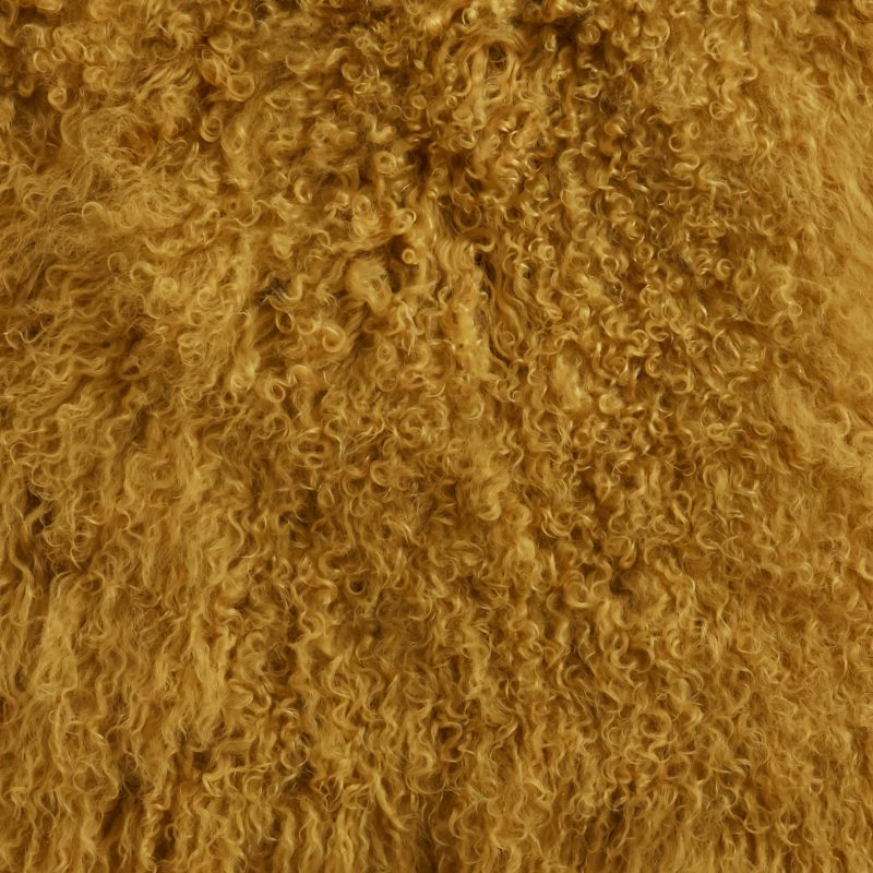 Photo of Tibetan Mustard