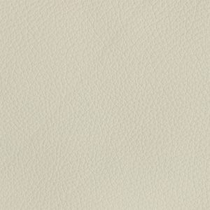 Tribeca Cream