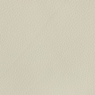 Tribeca Cream