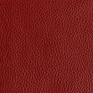 Tribeca Scarlet