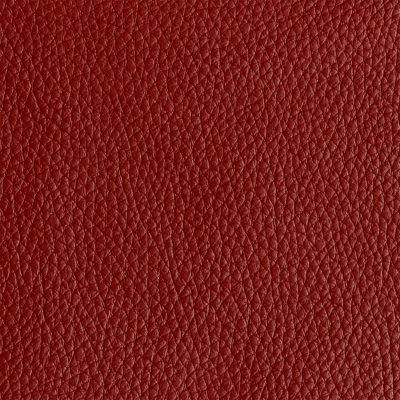 Photo of Tribeca Scarlet
