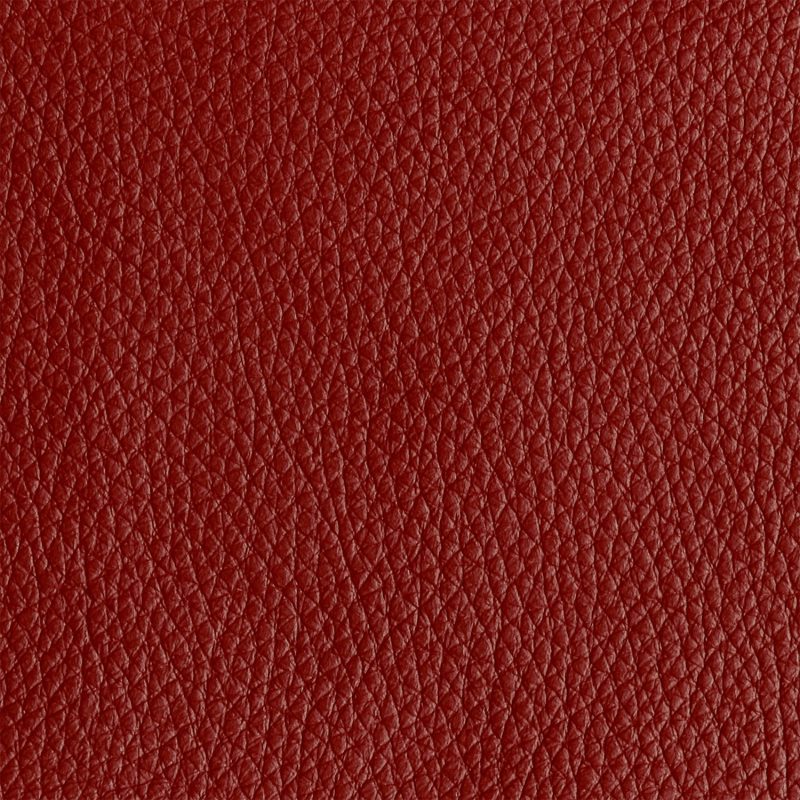 Photo of Tribeca Scarlet
