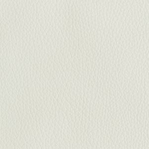 Tribeca White
