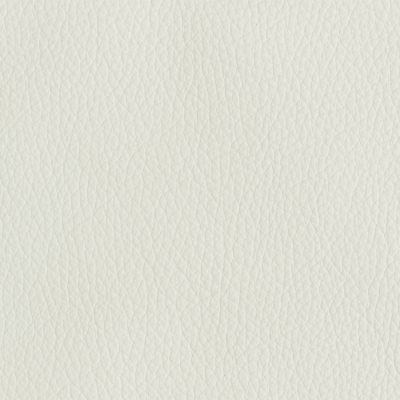Tribeca White