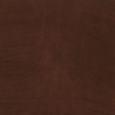 Photo of Ellis Cypress