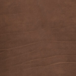 Ellis Russet