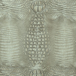 Hornback Beige