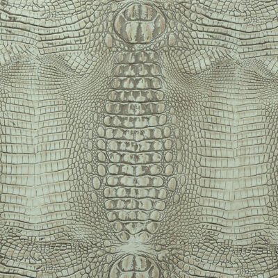 Hornback Beige