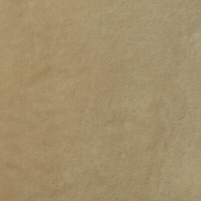 Shorn Beige