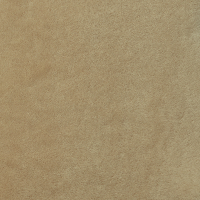 Photo of Shorn Beige