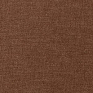 Agolde Clay