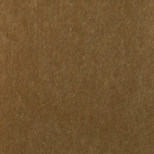 Mohair Camel