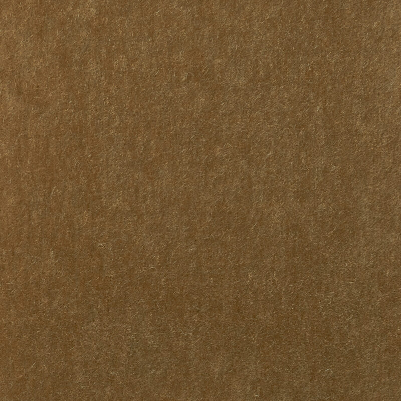 Photo of Mohair Camel