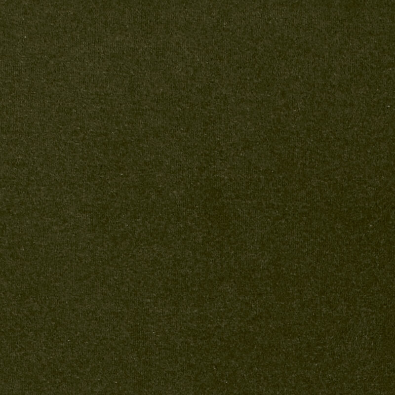 Photo of Flan Moss