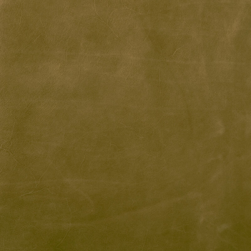 Photo of Mont Blanc Golden