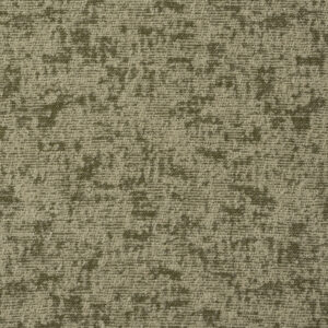 Stucco Moss