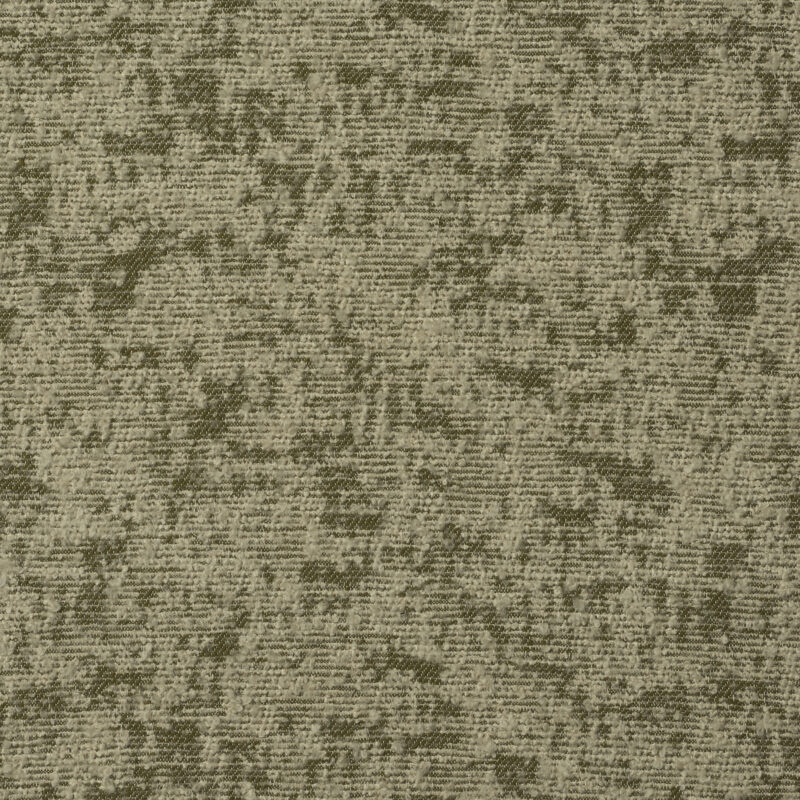 Photo of Stucco Moss