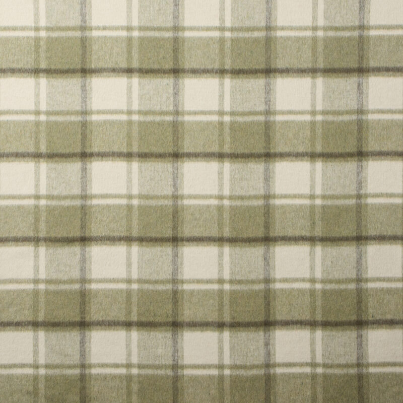 Photo of Arnet Plaid Conifer