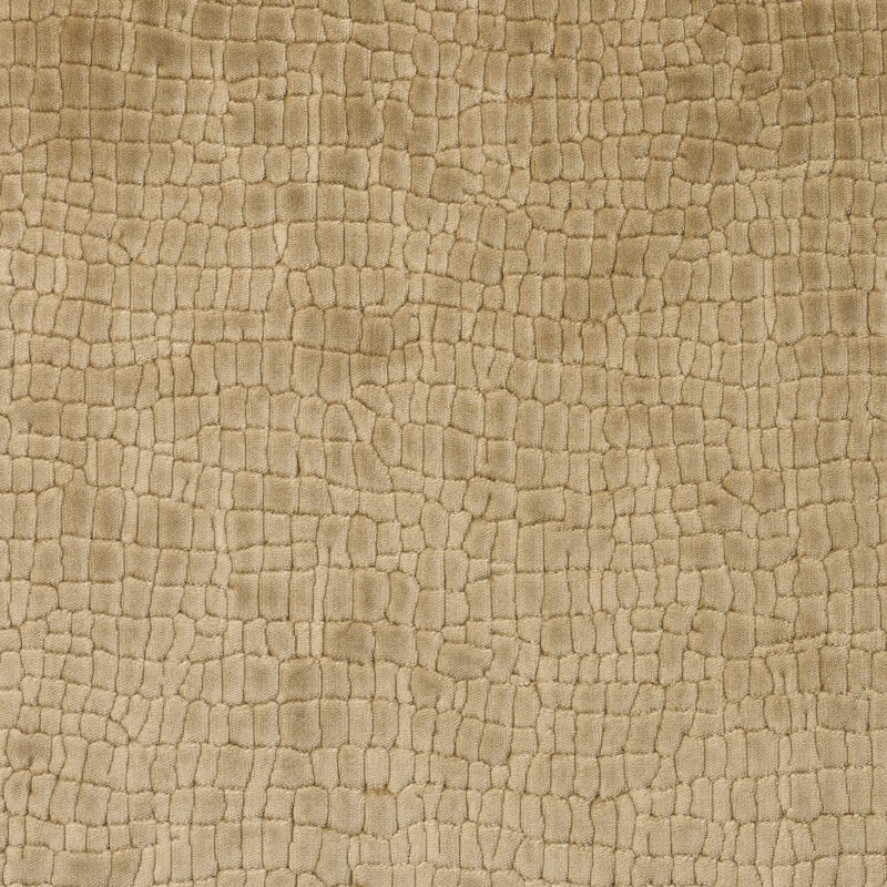 Photo of Soleil Bronze
