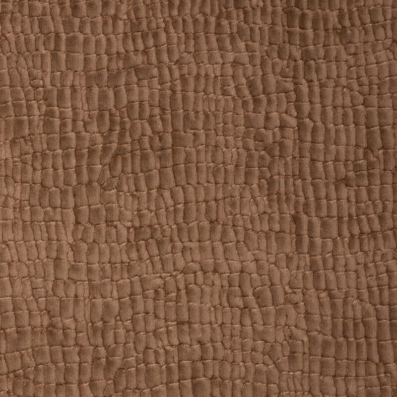 Photo of Soleil Rose