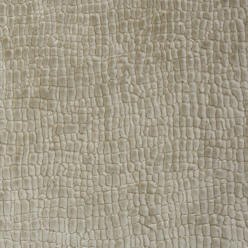 Photo of Soleil Shell