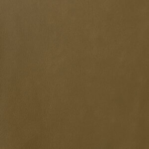 Sonoma Camel