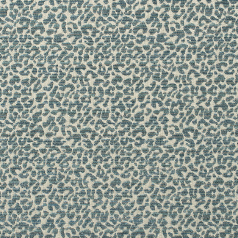 Photo of DOTTY SEA