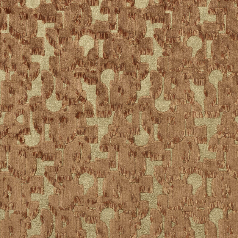 Photo of MAMBO MOCHA