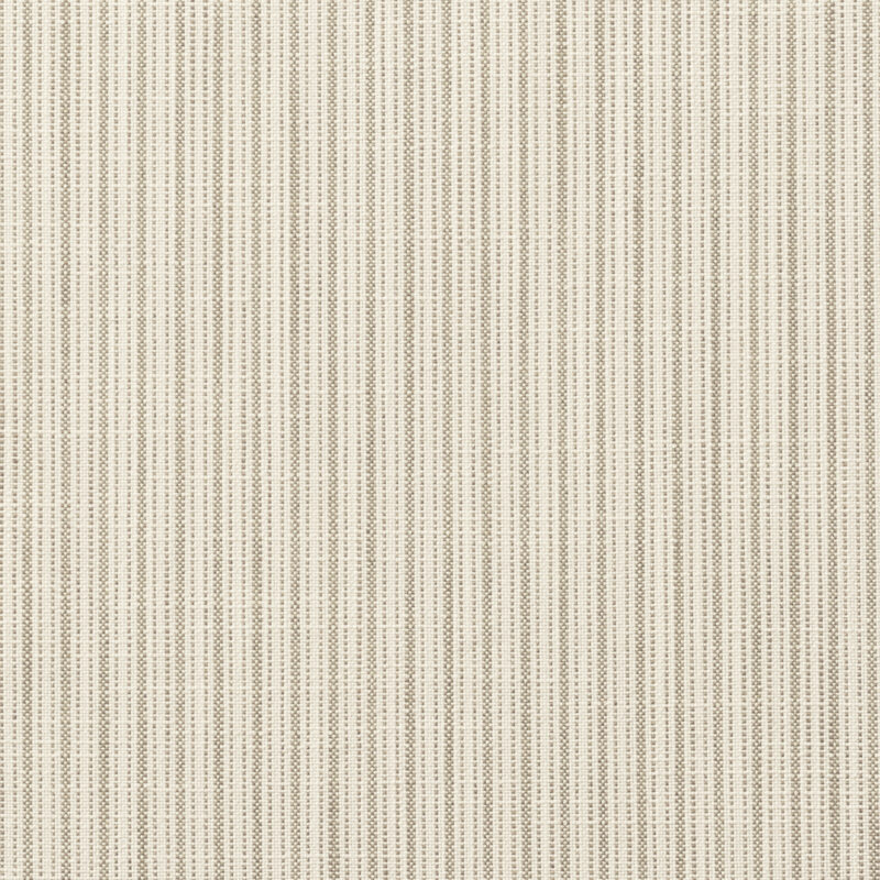 Photo of PETTY STRIPE ASH