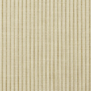 PETTY STRIPE LIME