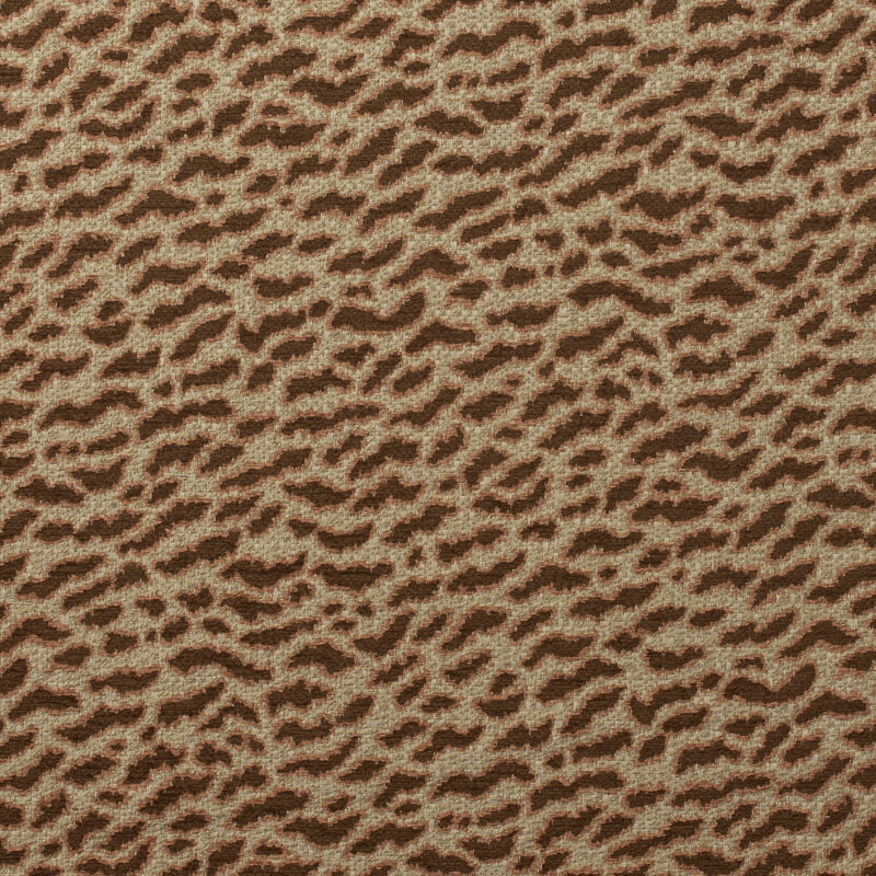 Photo of Tigress Mocha