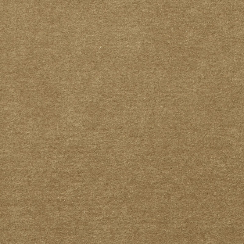 Photo of HEATHERTON CAMEL