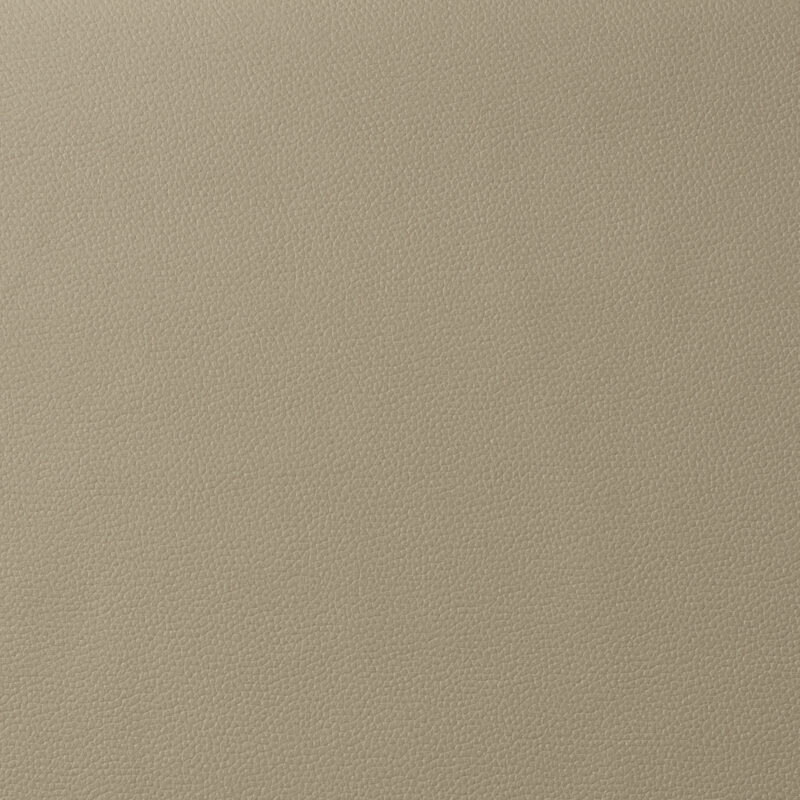 Photo of Integra Bone