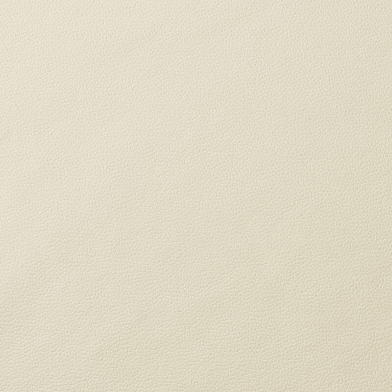 Photo of Integra Ivory