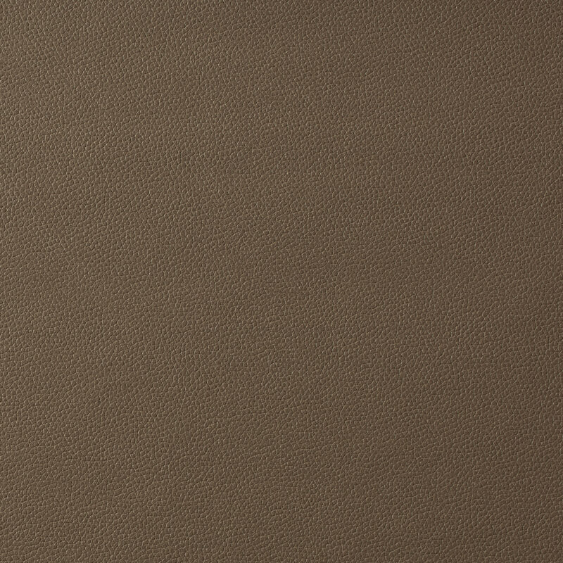 Photo of Integra Praline