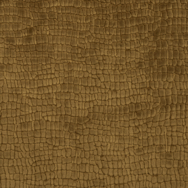 Photo of SOLEIL UMBER