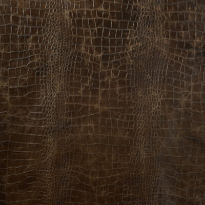 TUSCANY CROC WALNUT