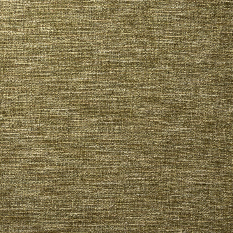 Photo of Avani Fern