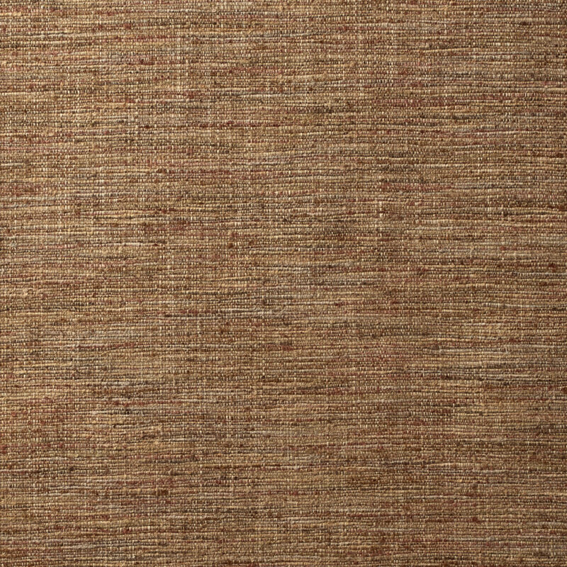 Photo of Avani Rust
