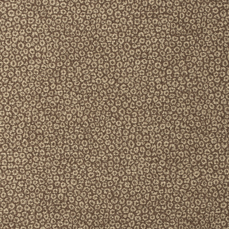 Photo of Bellomo Pebble