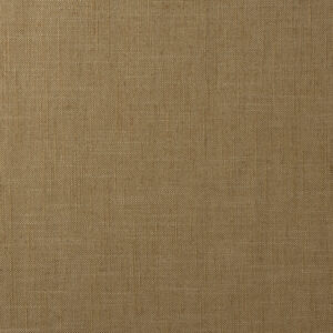 Lino Camel