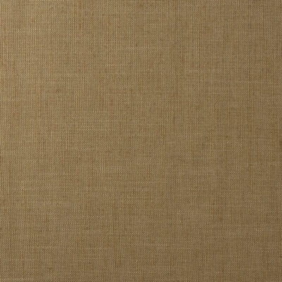 Lino Camel