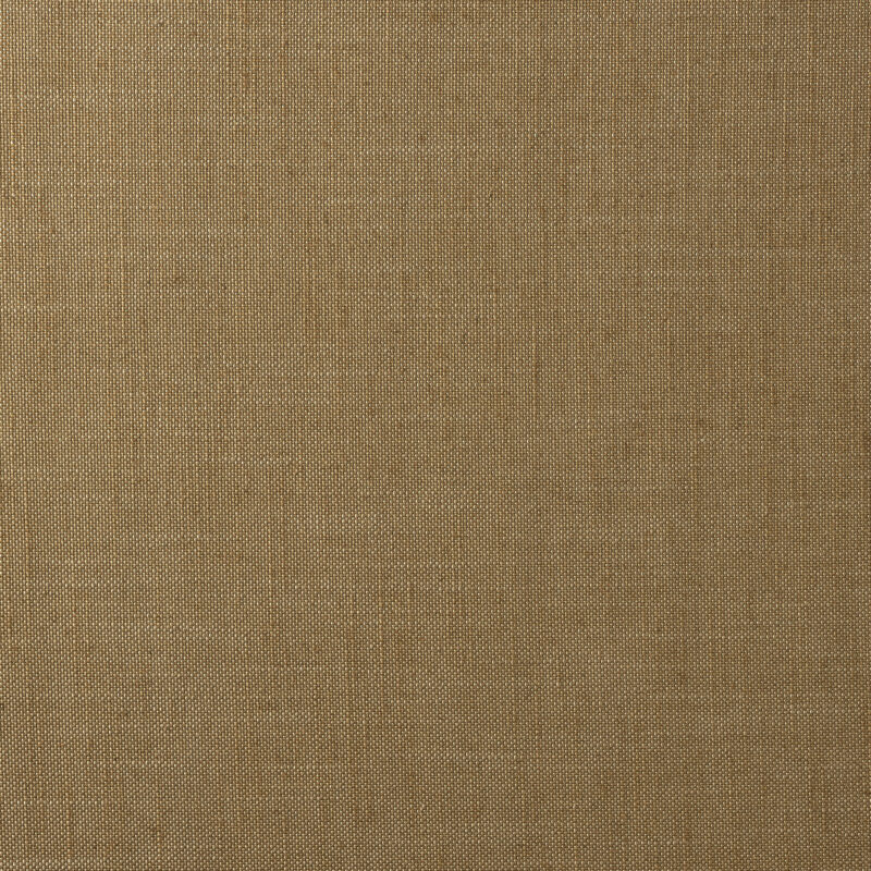 Photo of Lino Camel