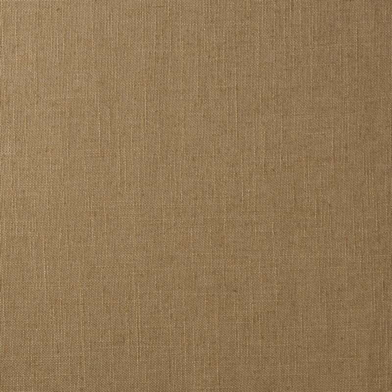 Photo of Lino Chai