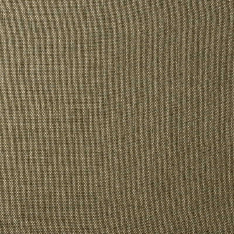 Photo of Lino Chive