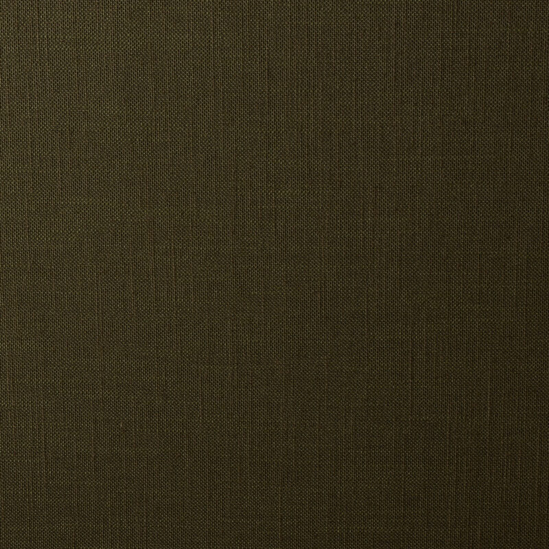 Photo of Lino Loden