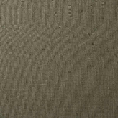Lino Moss