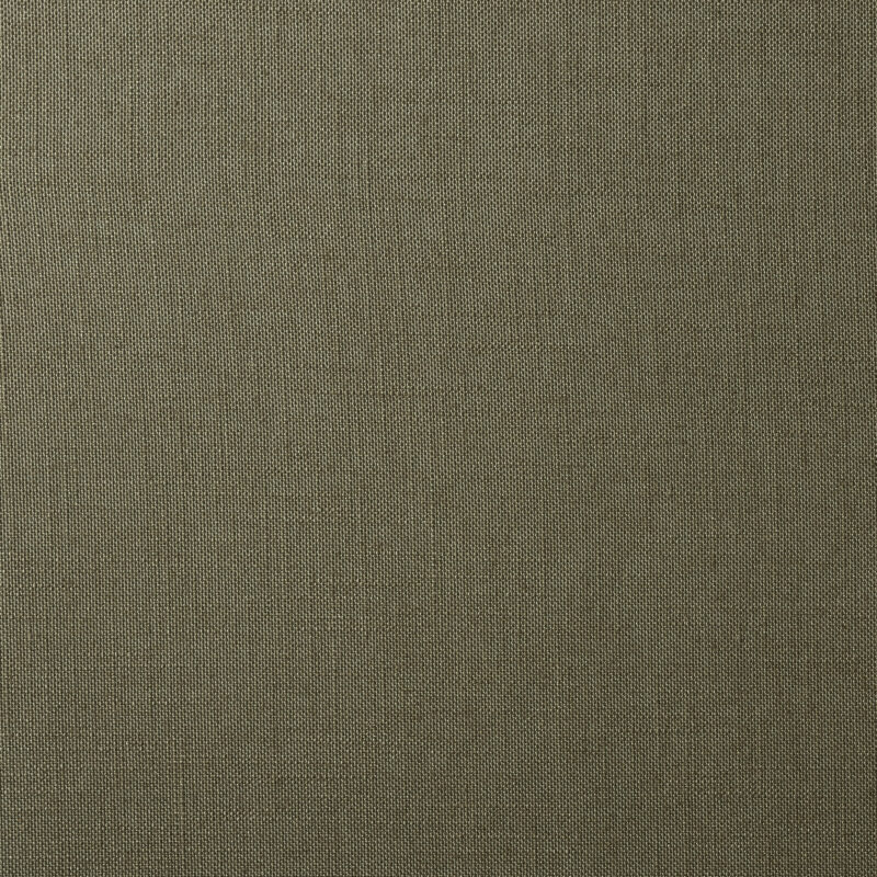 Photo of Lino Moss
